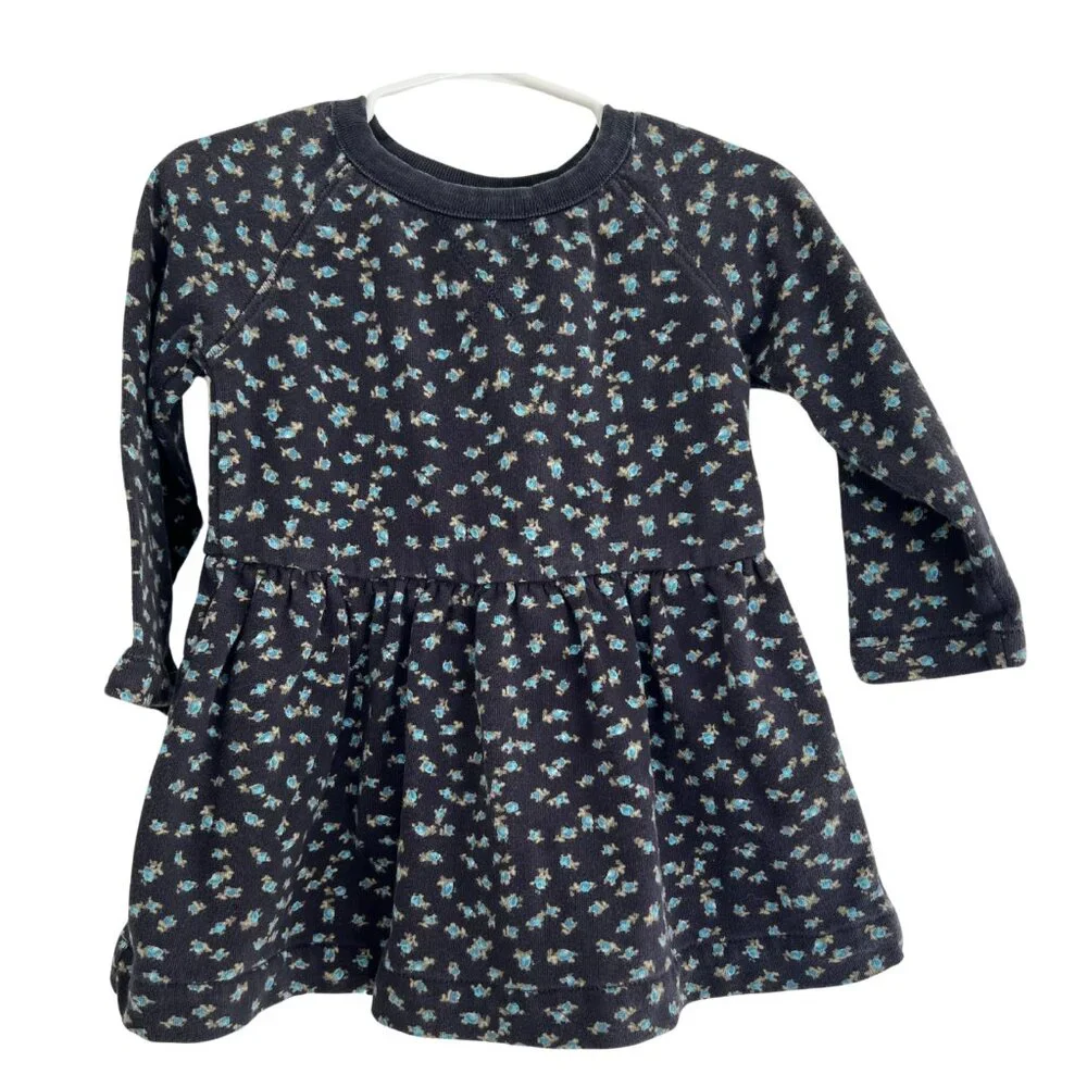 Baby Gap Toddler Girl Long Sleeve Navy Dress‎ 18-24 Mo Floral Sweatshirt Fog